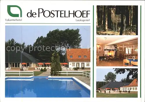 Luyksgestel Vakantiehotel de Postelhoef Swimming Pool Kaminzimmer Reh