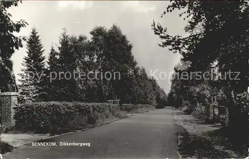 Bennekom Dikkenbergweg Kat. Niederlande