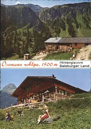 Hinterglemm Saalbach Ossmann Alpe Kat. Oesterreich