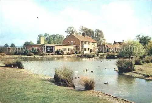 England UK Wildfowl Trust Slimbridge Gloucestershire Kat. United Kingdom