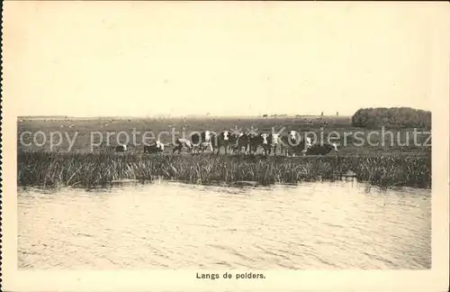 Niederlande Langs de Polders Kat. Niederlande