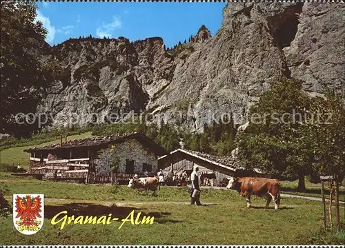 Pertisau Achensee Alpengasthof Gramaialm Kuehe / Eben am Achensee /Tiroler Unterland