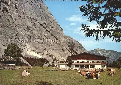Pertisau Achensee Alpengasthof Gramai Kuehe Karwendelgebirge / Eben am Achensee /Tiroler Unterland
