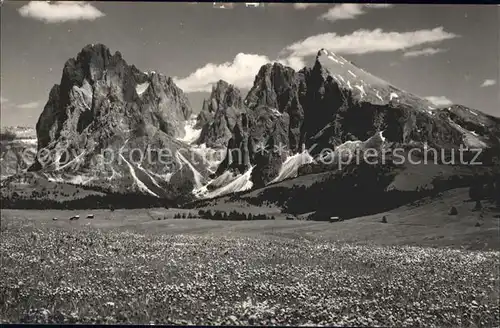 Sassolungo Alpe di Siusi Kat. Italien