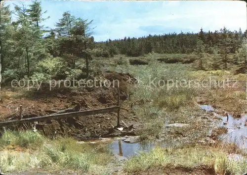 Georgenfeld Georgenfelder Hochmoor Ostergebirge Kat. Zinnwald Georgenfeld