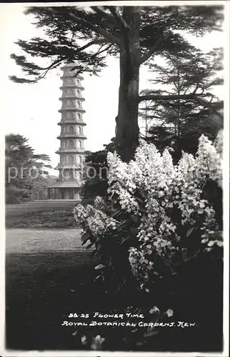 Kew Gardens London Flower Time Royal Botanical Gardens Kat. United Kingdom