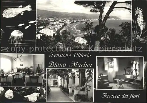 Diano Marina Pensione Vittoria Riviera dei fiori Kat. Italien