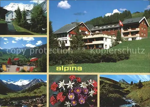 Adelboden Alpina Familienhotel Teilansichten Alpenblumen Kat. Adelboden