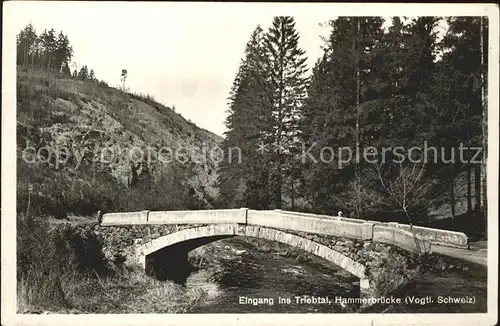 Vogtland Region Triebtal Hammerbruecke Kat. Bad Elster