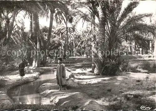 Biskra Palmiers Oasis Kat. Algerien