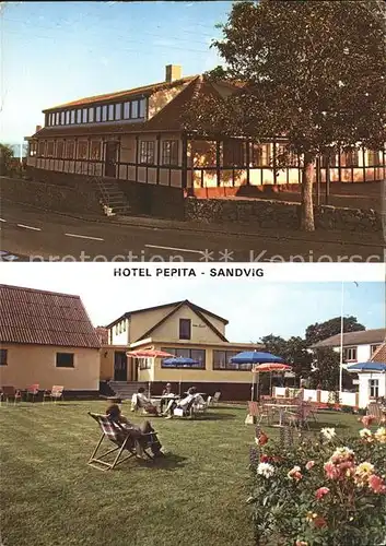 Allinge Sandvig Hotel Pepita Kat. Daenemark