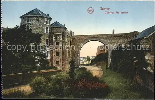 Namur Wallonie Chateau des comtes Kat. 