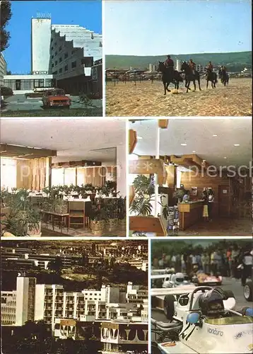 Albena Hotel Pferde  / Bulgarien /
