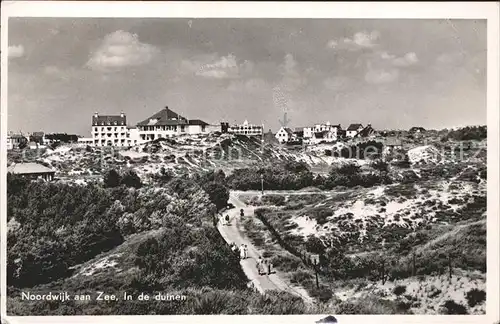 Noordwijk aan Zee  Duenen Kat. Noordwijk