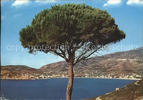 Isola d Elba Marina di Campo Panorama Kat. Italien