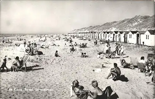 De Koog Strandleven Kat. Niederlande