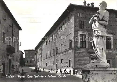 Urbino Piazza Duco Federico Palazzo Ducale Monumento Statue Kat. Italien