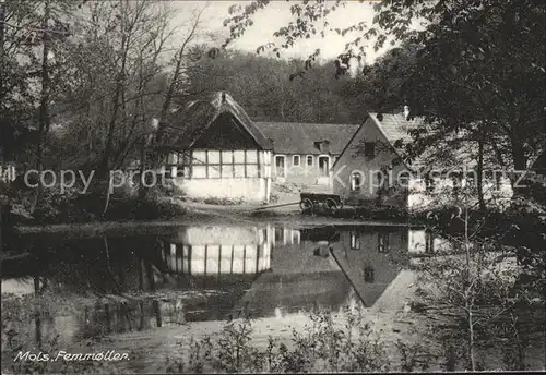 Femoller Partie am Wasser Bauernhof Kat. Femoller Mols