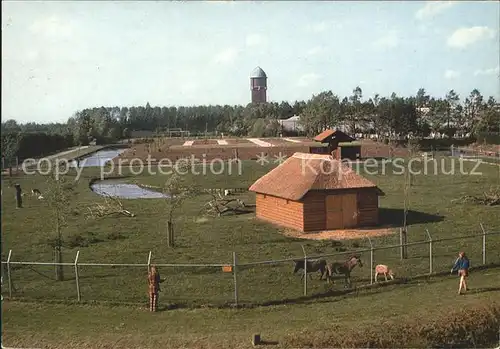 Niederlande Bergambacht Kat. Niederlande