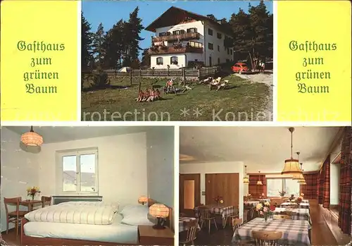 Voeran Verano Gasthaus zum Gruenen Baum Zimmer Stube / Bozen Suedtirol /Trentino Suedtirol