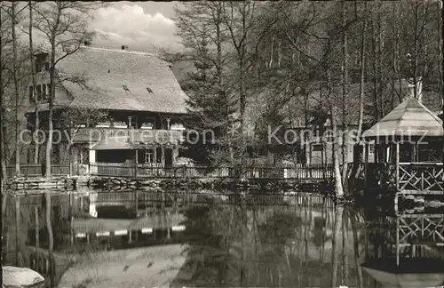 Steinwald Kellermuehle am Steinwald Kat. Lossburg