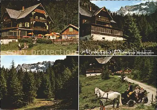 Prossau Alpenhaus Pferdewagen Bad Gastein Kat. Oesterreich