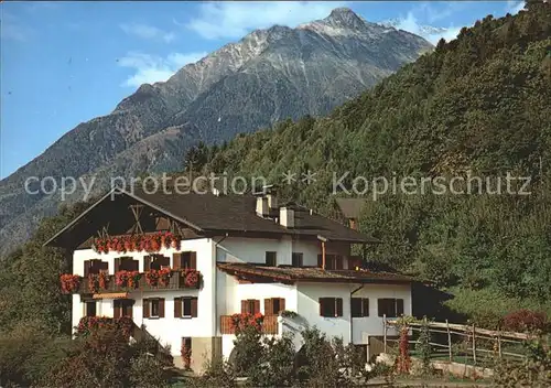 Dorf Tirol Garni Oberanger Kat. Tirolo