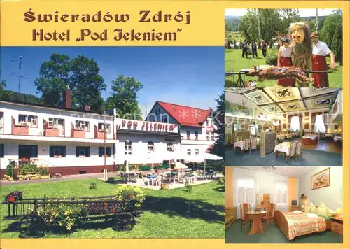 Swieradow Zdroj Bad Flinsberg Hotel Pod Jeleniem Grillplatz Gastraum Zimmer Kat. 