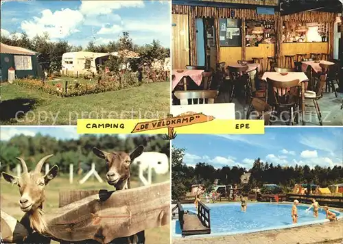 Epe Gelderland Camping De Veldkamp Swimming Pool Ziegen Kat. 