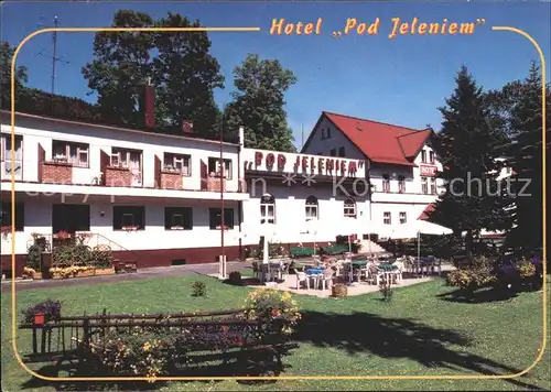 Swieradow Zdroj Bad Flinsberg Kurhotel Pod Jeleniem Kat. 