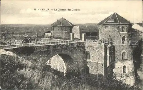 Namur Wallonie Le Chateau des Comtes Kat. 