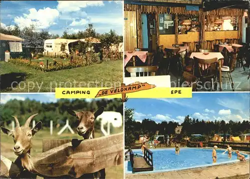 Epe Gelderland Camping De Veldkamp Swimming Pool Ziegen Tiergehege Kat. 