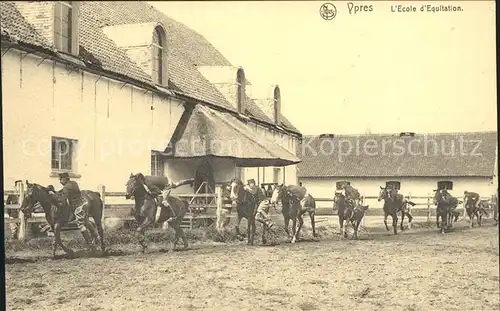 Ypres Ypern West Vlaanderen L`Ecole d`Equitation /  /