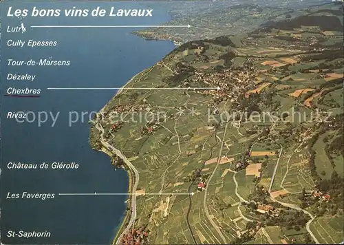 Lavaux VD Les bons vins de Lavaux Lac Leman vue aerienne Kat. 