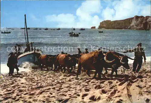 Nazare Portugal Arrasto dos Barcos Kat. 