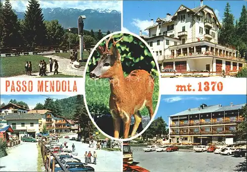 Mendola Reh Hotel  Kat. 