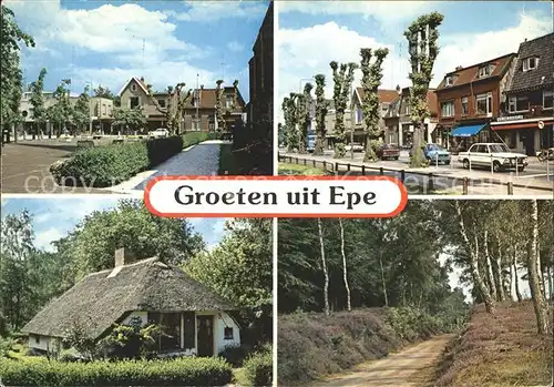 Epe Gelderland Teilansichten Reetdachhaus Waldpartie Kat. 