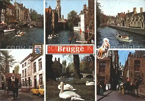 Brugge Schwan Kanal Pferdekutsche  Kat. 