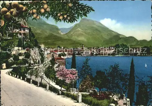 Riva del Garda Lago di Garda Uferpromenade Kat. 
