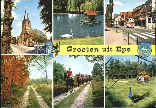 Epe Gelderland Kirche Pferde Tierpark /  /