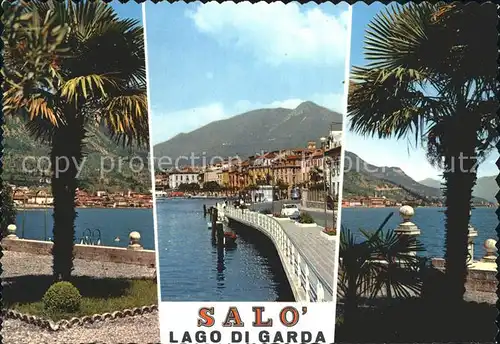 Salo Lago di Garda Stadtansichten Palmen Kat. 