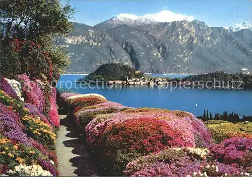 Bellagio Lago di Como Gebirge Blumenrabatten