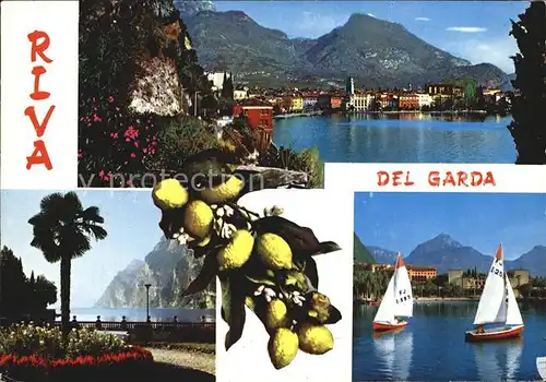 Riva del Garda Teilansichten Segelboote Kat. 