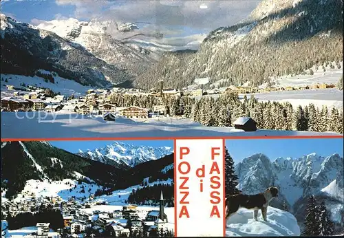 Pozza di Fassa Winterpanorama Alpen Bernhardiner Hund Kat. 