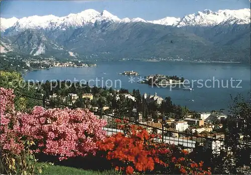 Stresa Lago Maggiore Gesamtansicht Lago Maggiore