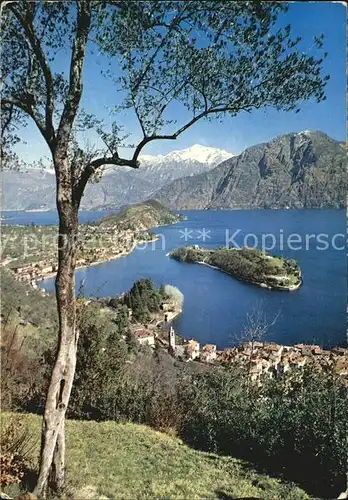 Sala Comacina Insel Comer See Kat. Como Lago di Como