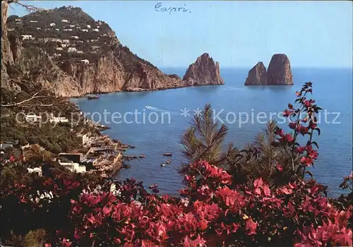 Capri Panorama Kat. Golfo di Napoli