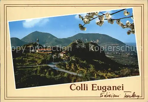 Colli Euganei Panorama Rocca Pendice Kat. Italien