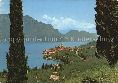 Malcesine Lago di Garda Gardasee Panorama Kat. Malcesine