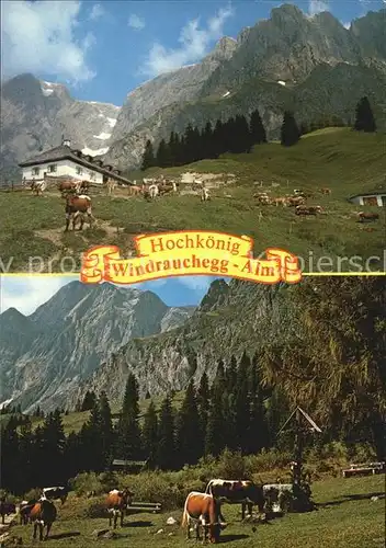 Muehlbach Hochkoenig Windrauchegg Alm  Kat. Muehlbach am Hochkoenig